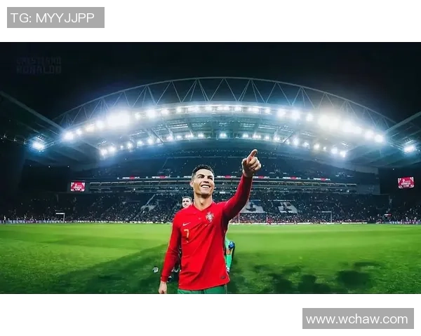 《从梅西到C罗：足球巨星背后的奋斗与荣耀》