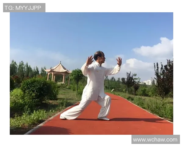 全方位探讨运动对身体健康的积极影响与科学训练方法