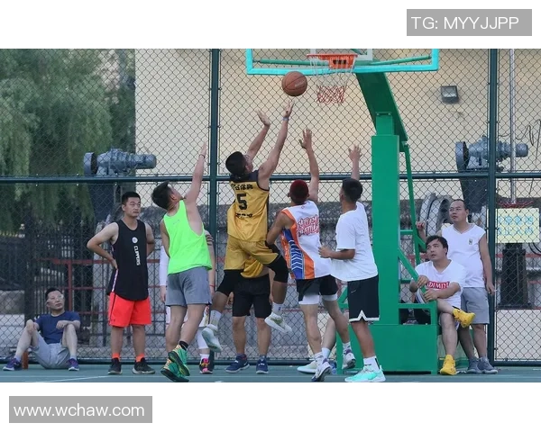 探索新时代篮球运动发展趋势与青少年培养路径全景解析全面探讨方向