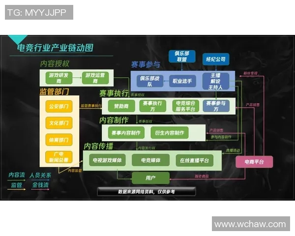 电竞崛起与未来发展趋势分析：从竞技游戏到全球产业链的演变与挑战