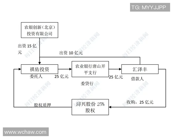 福建浔兴股份创新发展路径探索及未来市场布局分析