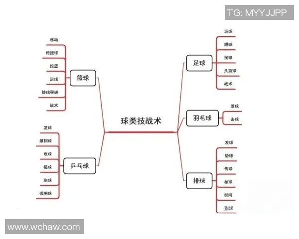 篮球技巧与战术解析：从基础训练到比赛中的应用与突破