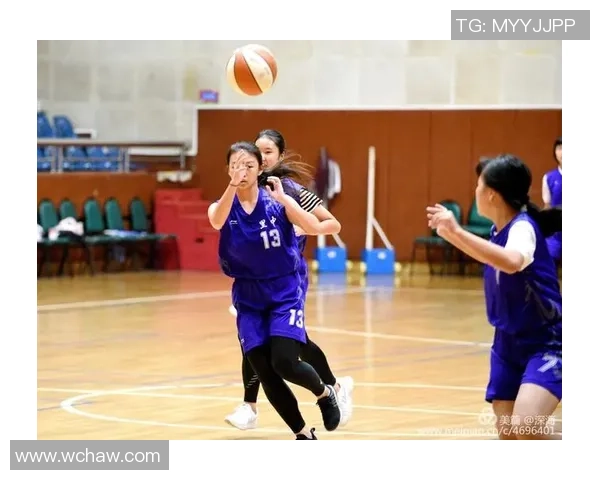 聚焦篮球运动员成长之路与赛场荣耀全景解析其背后奋斗故事精彩篇